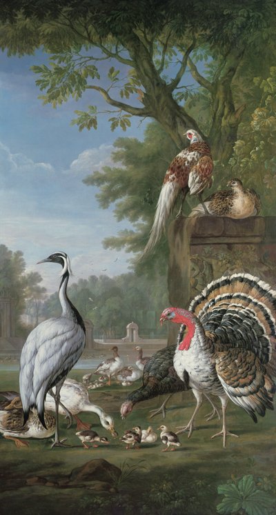 Gruppo di uccelli esotici da Pieter Casteels